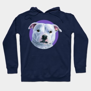 White Stafforshire Bull Terrier Pitbull Dog with Purple Hoodie